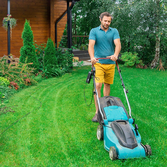 lawn care specialist services in Tampa FL