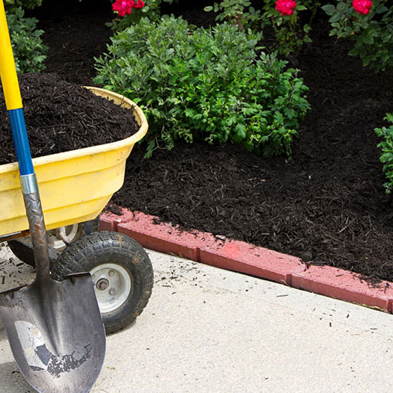 Edging and Weeding in Tampa FL