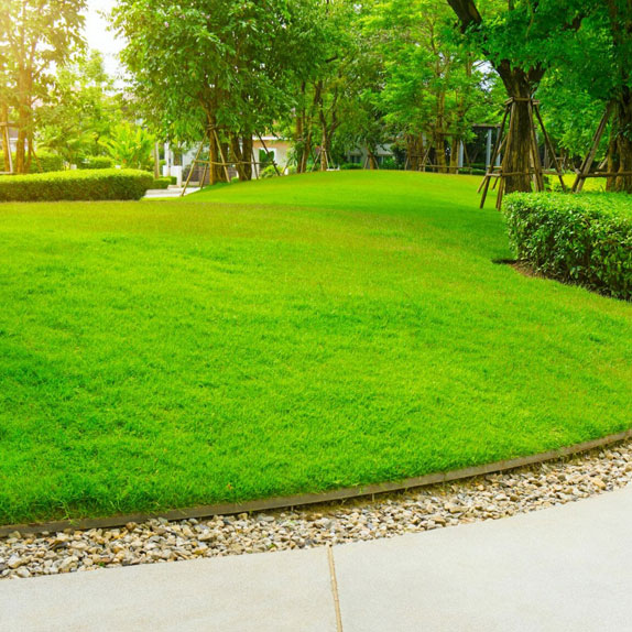 mowing, weeding and edging services in Tampa FL