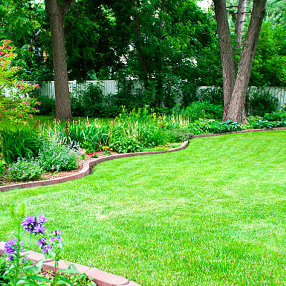 lawn maintenance in Tampa