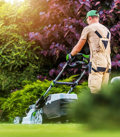 landscaping services in Tampa FL